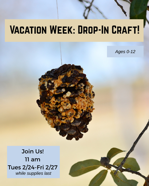 Winter Vacation Week Winter Vacation Week